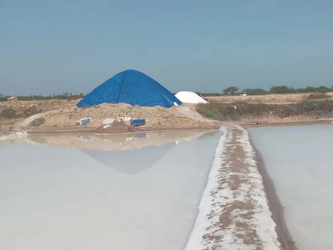 சிவராமலிங்கம் உப்பு விவசாயி