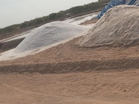 தமிழர் உப்பு உற்பத்தி நிலம்